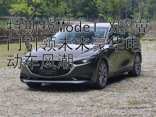 特斯拉Model X鸥翼门引领未来豪华电动车风潮