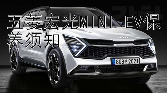 五菱宏光MINI EV保养须知