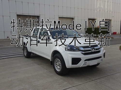 特斯拉ModelY自动泊车技术革新