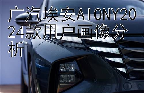 广汽埃安AIONY2024款用户画像分析