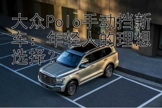 大众Polo手动挡新车：年轻人的理想选择？