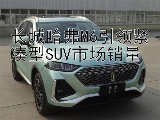 长城哈弗M6引领紧凑型SUV市场销量