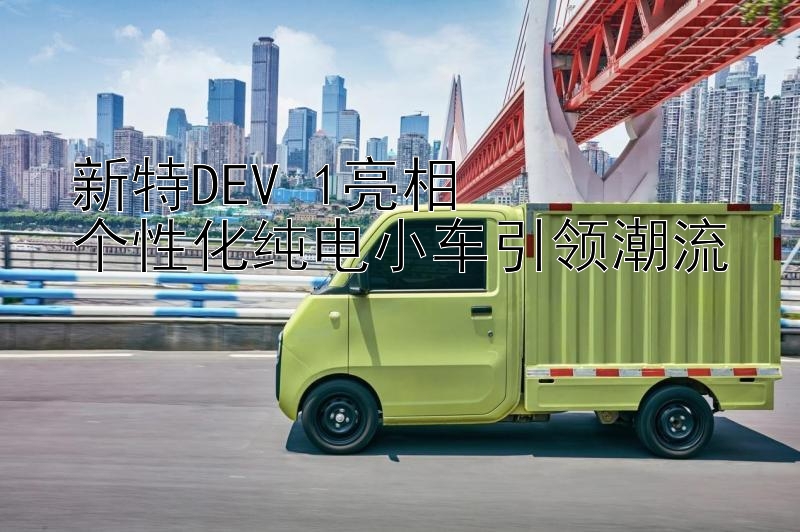 新特DEV 1亮相  
个性化纯电小车引领潮流