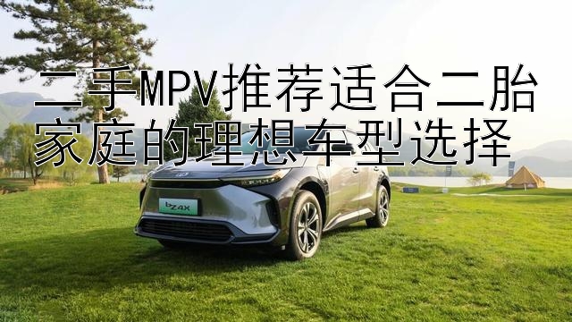 二手MPV推荐适合二胎家庭的理想车型选择