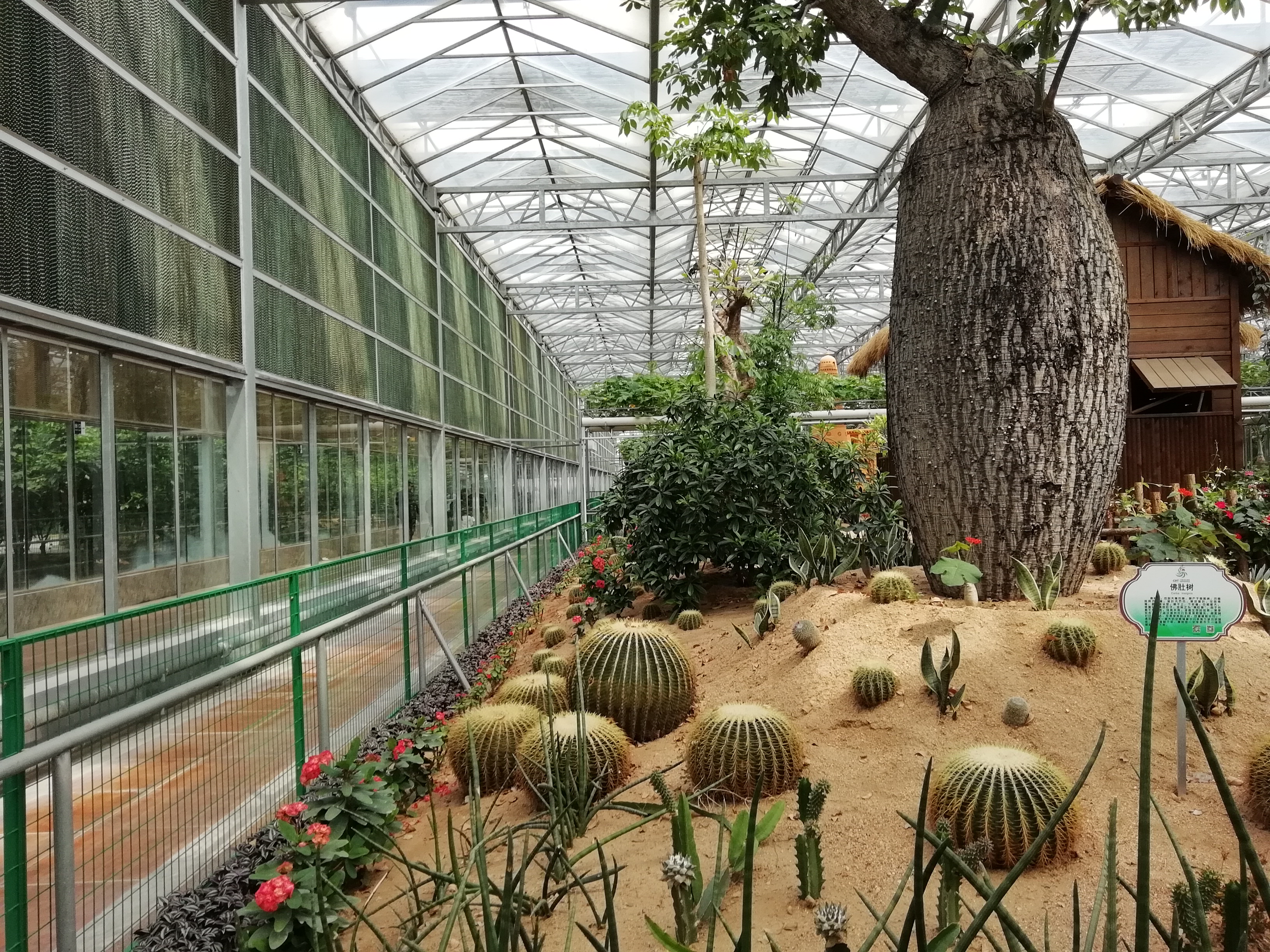 包含通辽台直播钱家店镇大棚项目的词条 包含通辽台直播钱家店镇大棚项目的词条