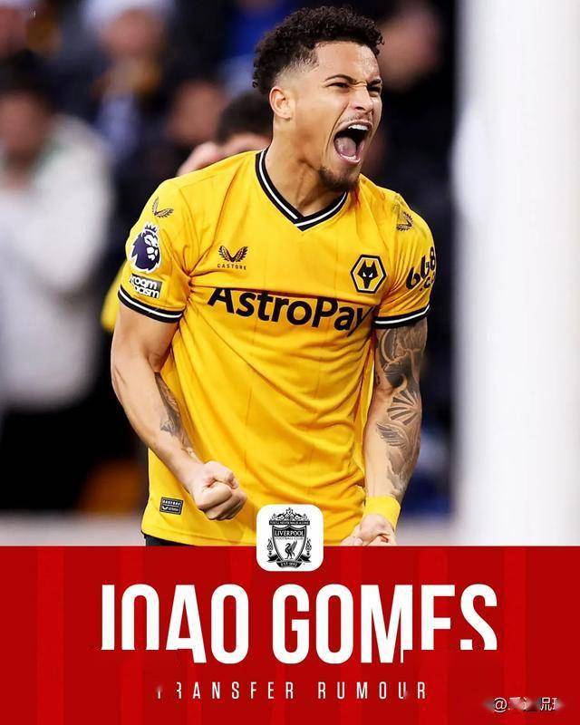 曼联有意若昂戈麦斯球员是狼队主力的简单介绍 曼联有意若昂戈麦斯球员是狼队主力的简单介绍