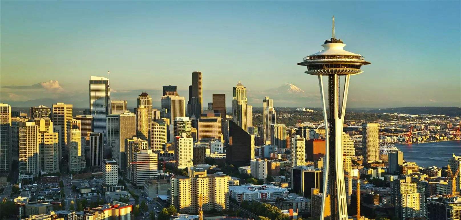 德下萨克联:维丹VS胡苏美尔的简单介绍 德下萨克联:维丹VS胡苏美尔的简单介绍