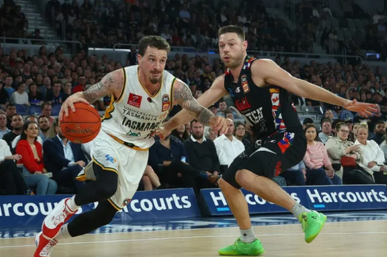 NBL:珀斯野猫VS塔斯马尼亚跳伞蚁的简单介绍 NBL:珀斯野猫VS塔斯马尼亚跳伞蚁的简单介绍