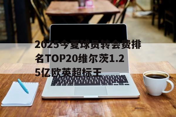 2025今夏球员转会费排名TOP20维尔茨1.25亿欧英超标王的简单介绍 2025今夏球员转会费排名TOP20维尔茨1.25亿欧英超标王的简单介绍