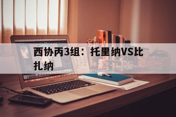 西协丙3组:托里纳VS比扎纳的简单介绍 西协丙3组:托里纳VS比扎纳的简单介绍