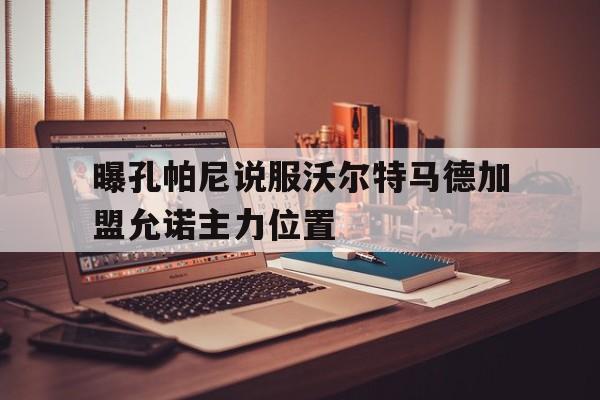 曝孔帕尼说服沃尔特马德加盟允诺主力位置的简单介绍