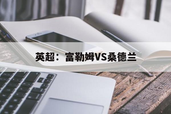 英超:富勒姆VS桑德兰 英超:富勒姆VS桑德兰