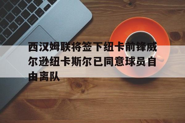 西汉姆联将签下纽卡前锋威尔逊纽卡斯尔已同意球员自由离队的简单介绍