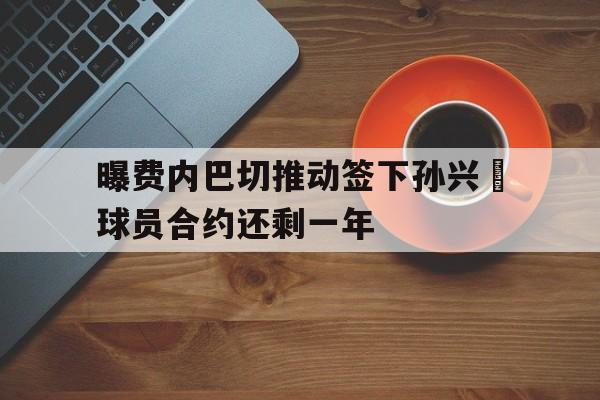 关于曝费内巴切推动签下孙兴慜球员合约还剩一年的信息 关于曝费内巴切推动签下孙兴慜球员合约还剩一年的信息