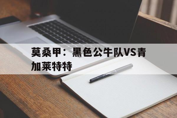 关于莫桑甲：黑色公牛队VS青加莱特特的信息